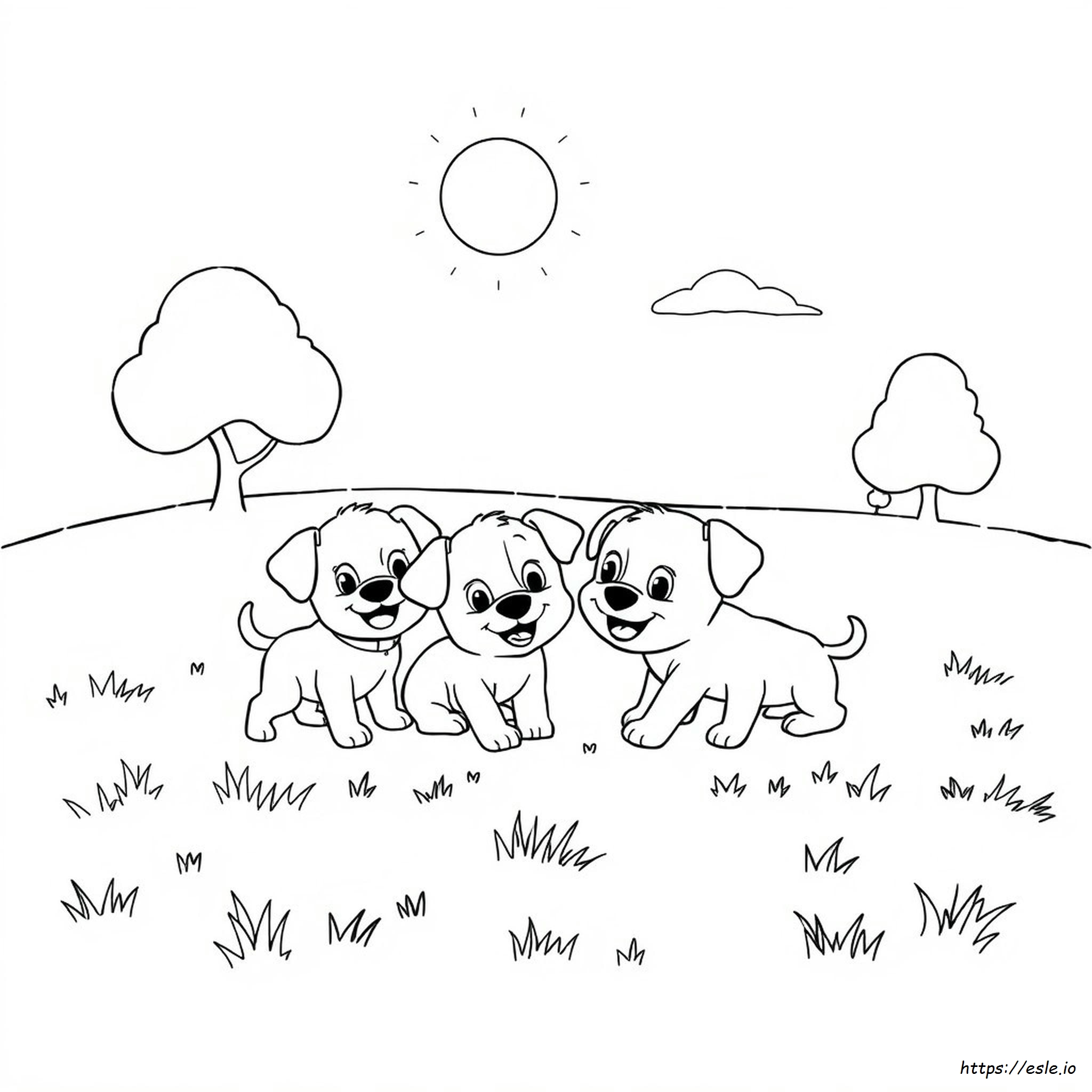Puppy Dog Pals Coloring Pages Pdf
