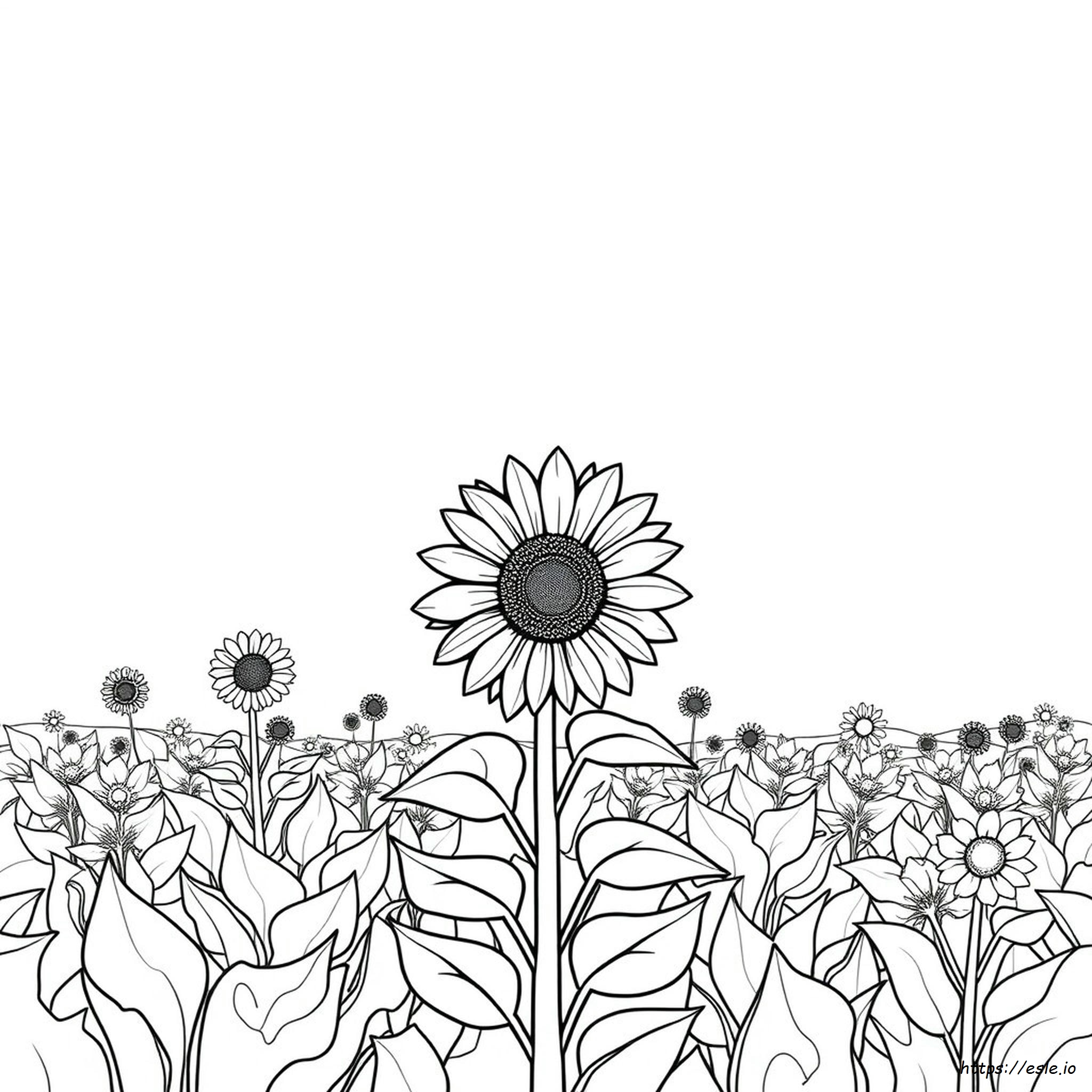 Free Printable Sunflower Coloring Pages For Adults