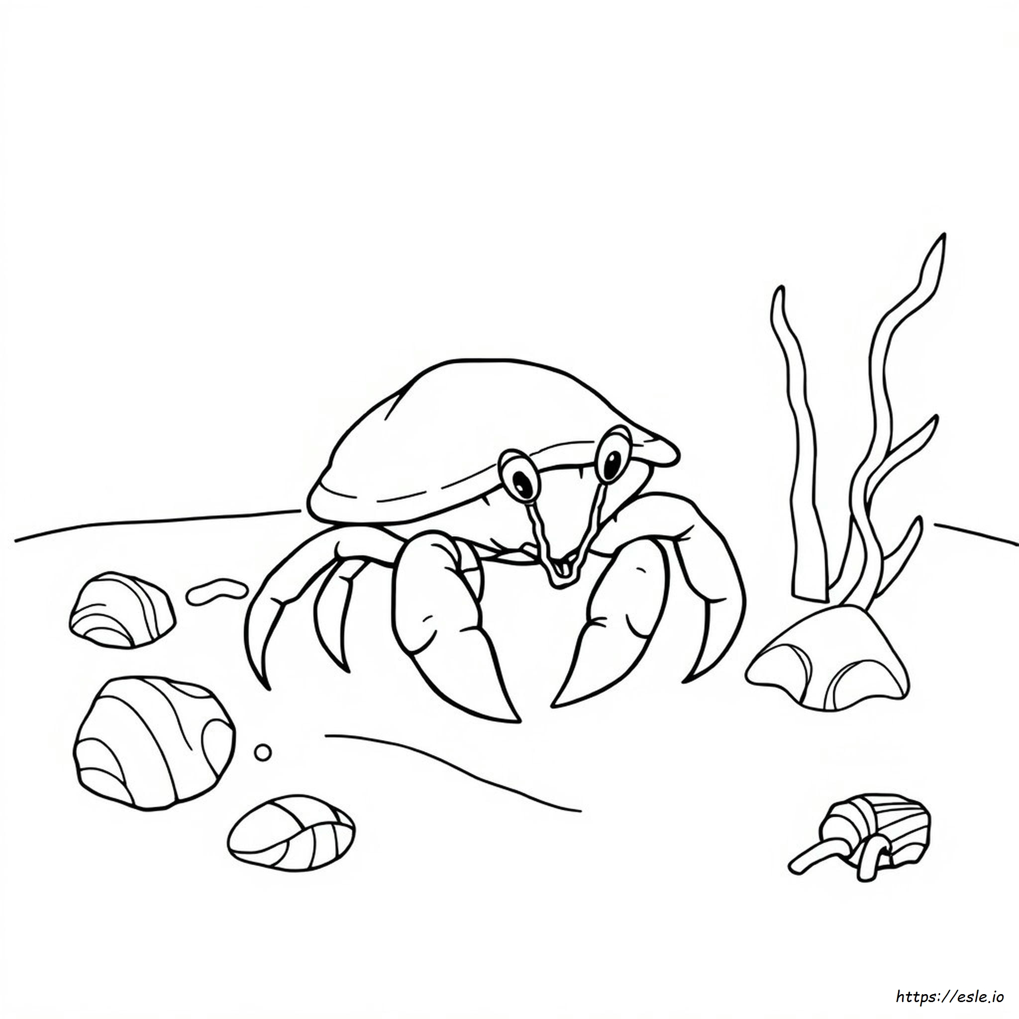 Free Hermit Crab Coloring Pages