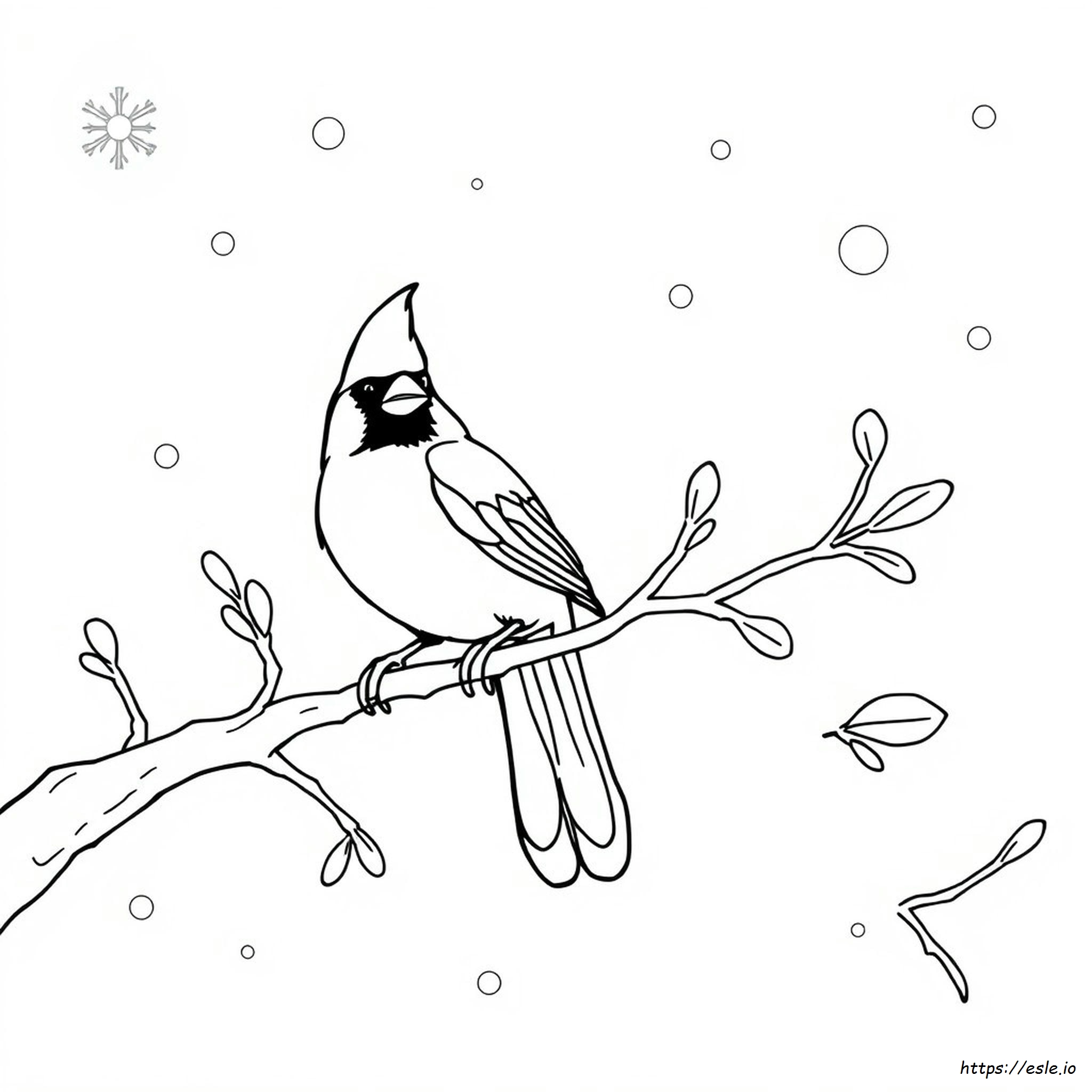 Cardinal Coloring Pictures