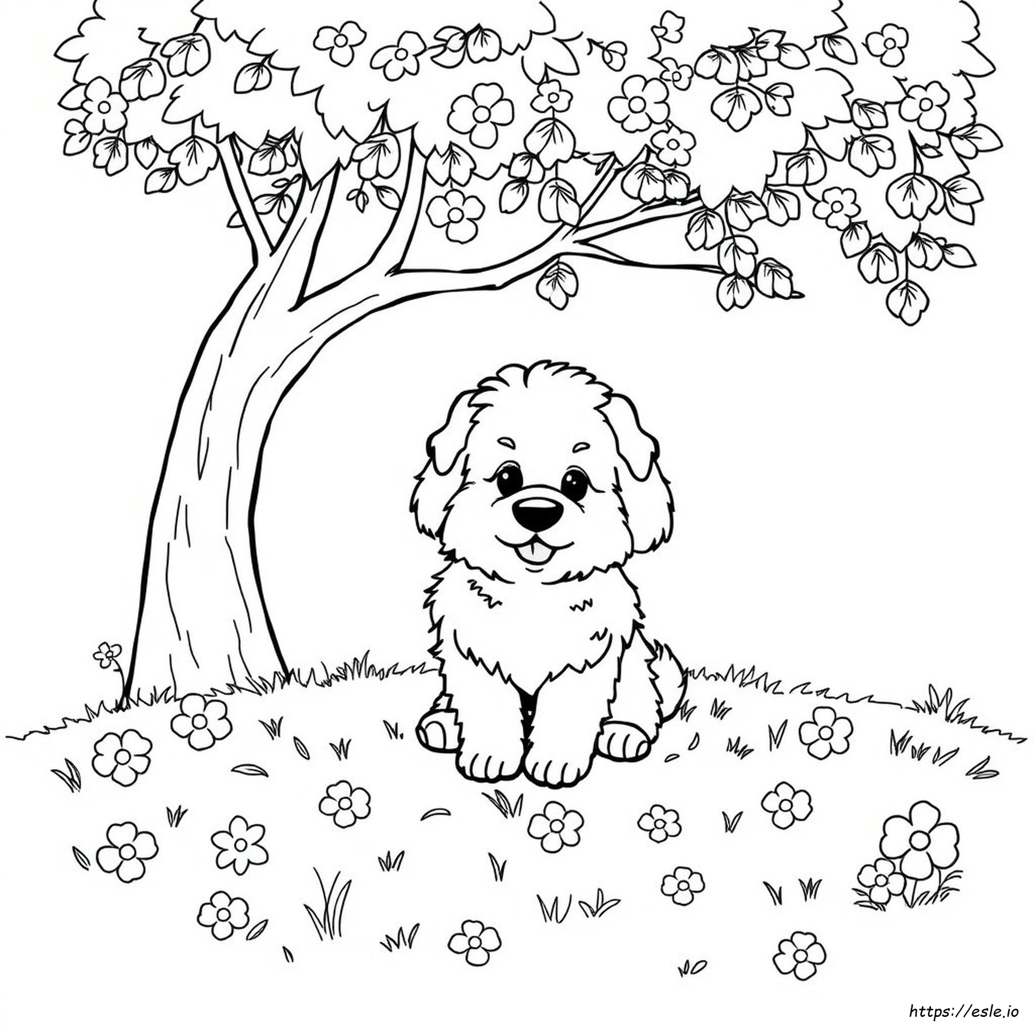 Fluffy Dog Coloring Pages