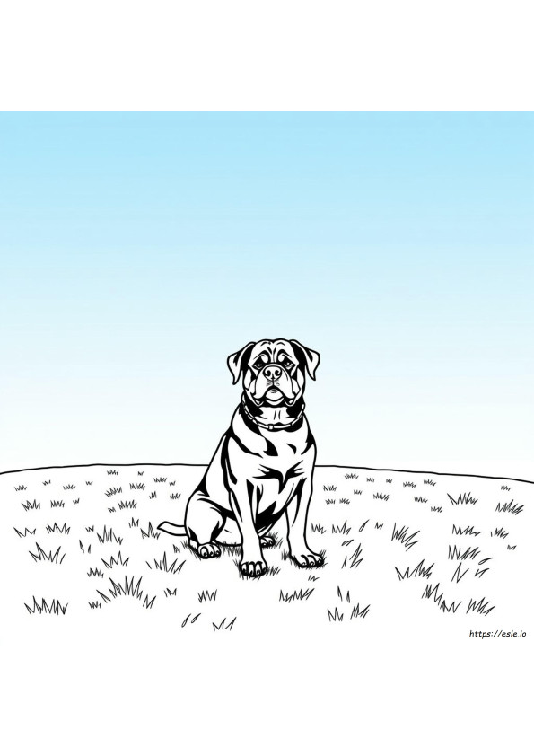 Haben Rottweiler Verschiedene Farben