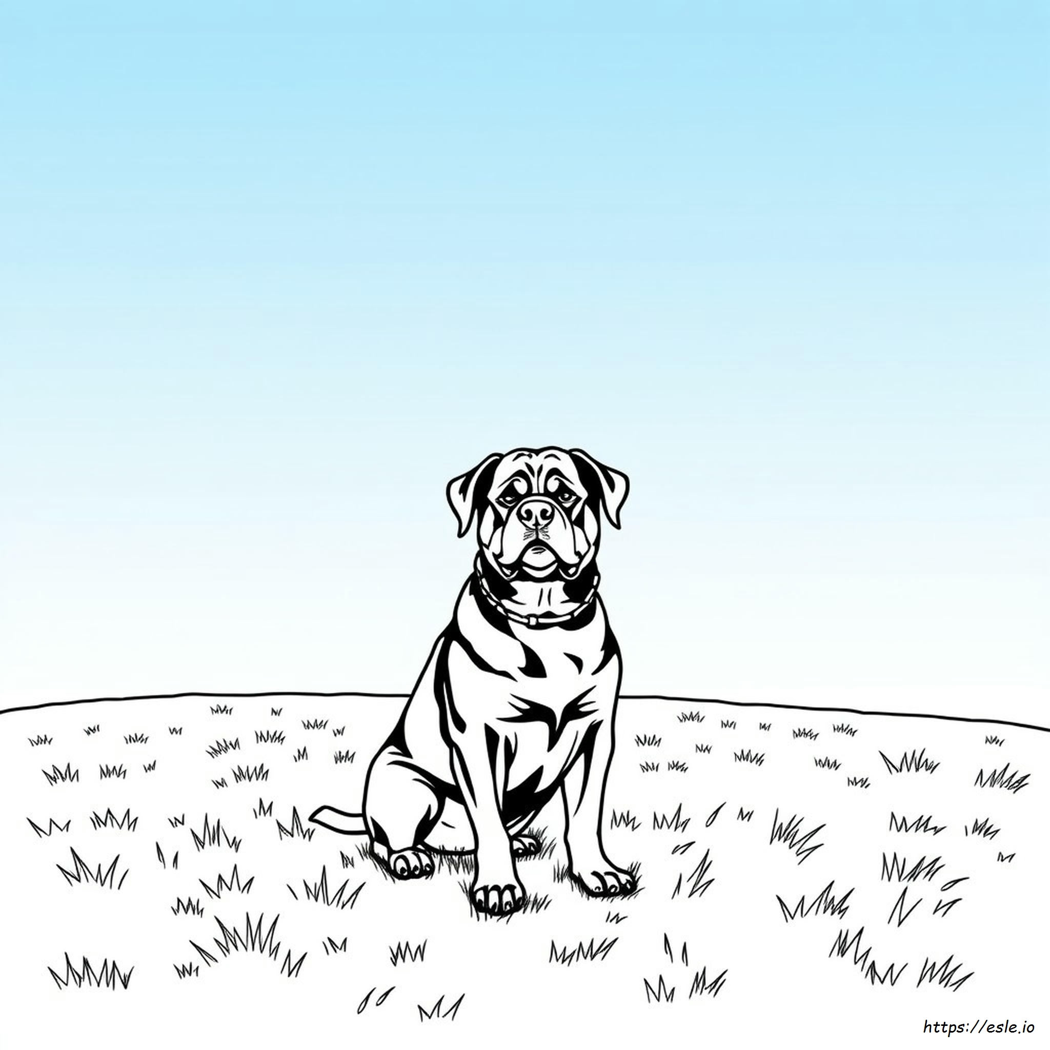 Coloriage Rottweiler à Imprimer - Dessin Gratuit