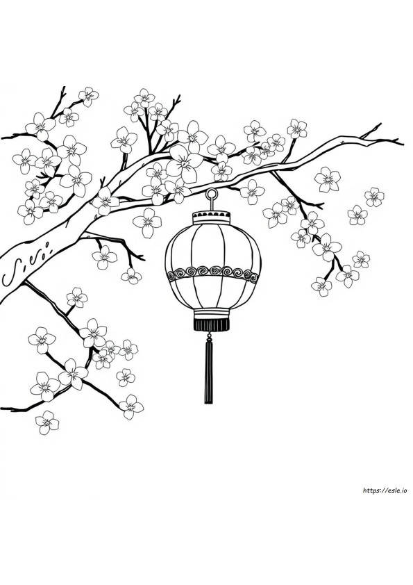 Chinese Lantern Coloring