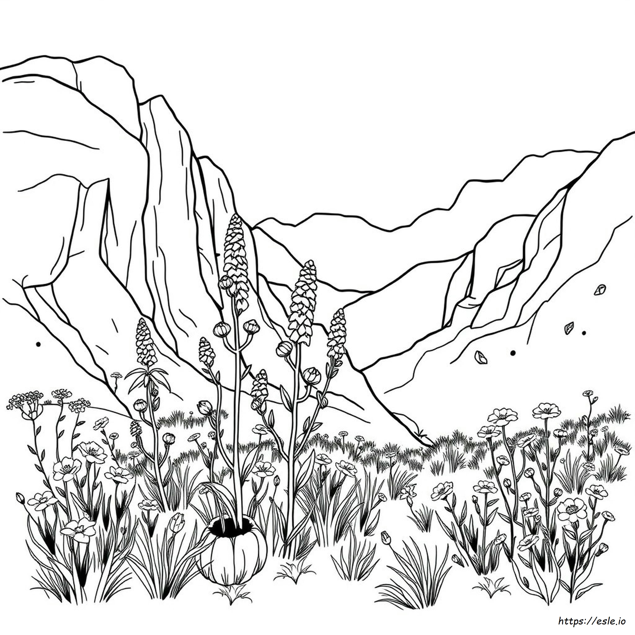 Endangered Plants In Colorado