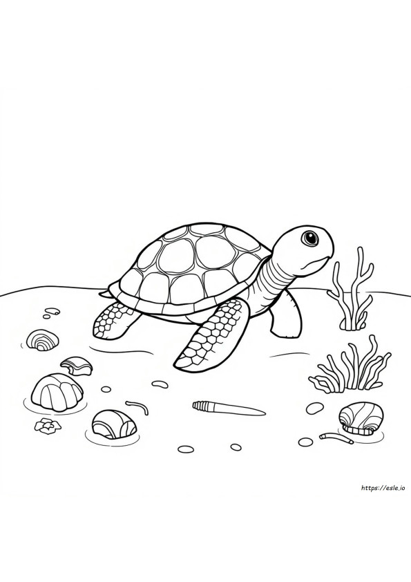 Páginas Para Colorear De Tortugas Imprimibles Gratis Para Niños