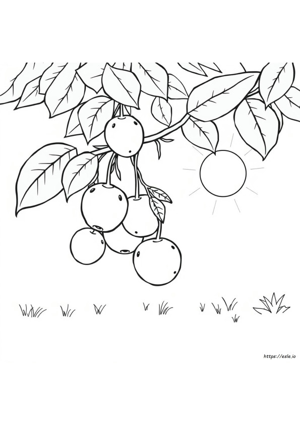 Fruit Food Coloring Pages