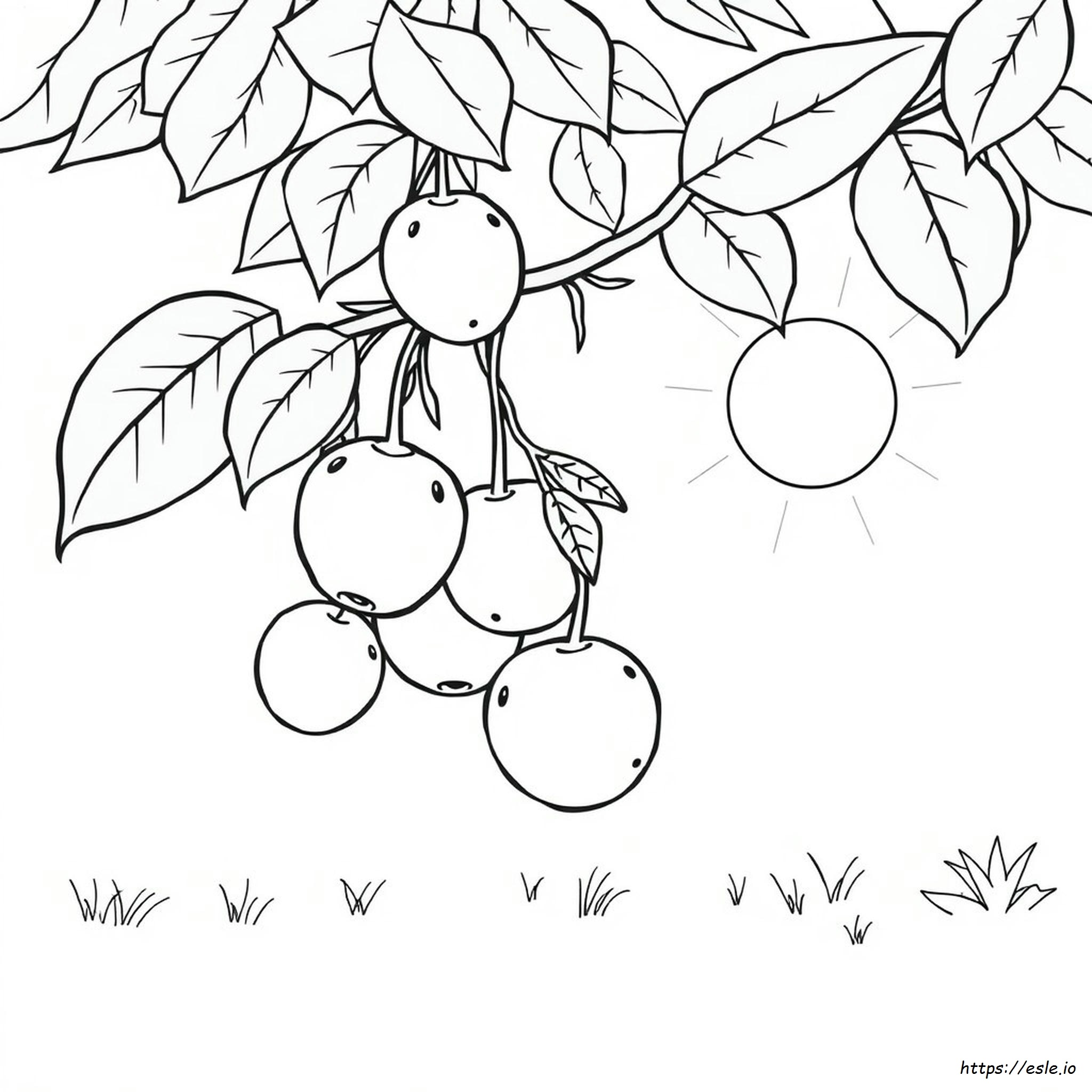 Gambar Mewarnai Buah Makanan - PDF Gratis