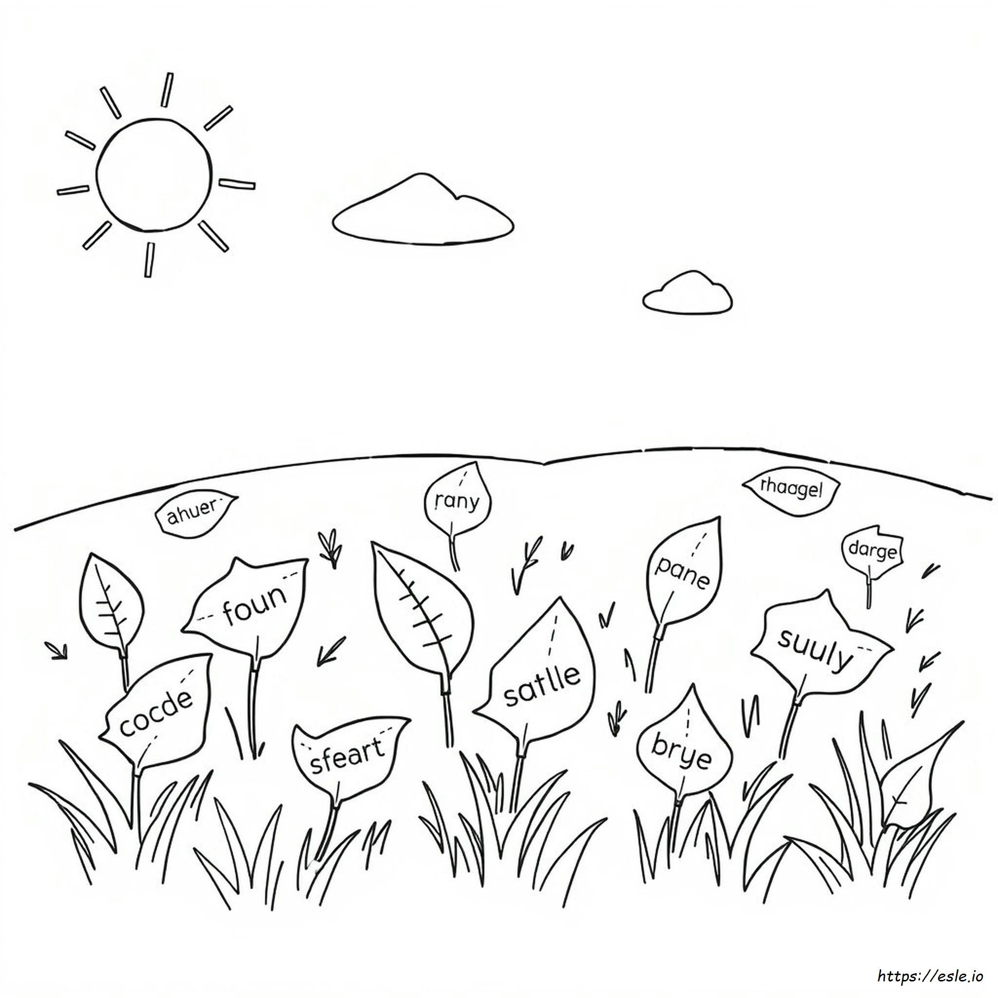 Rhyming Words Coloring Pages
