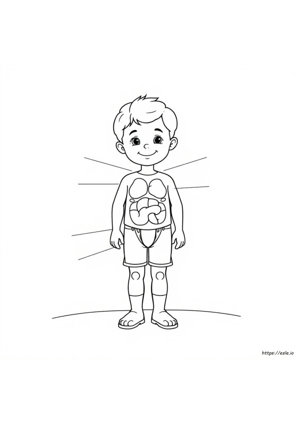 Body Coloring Pages For Preschoolers