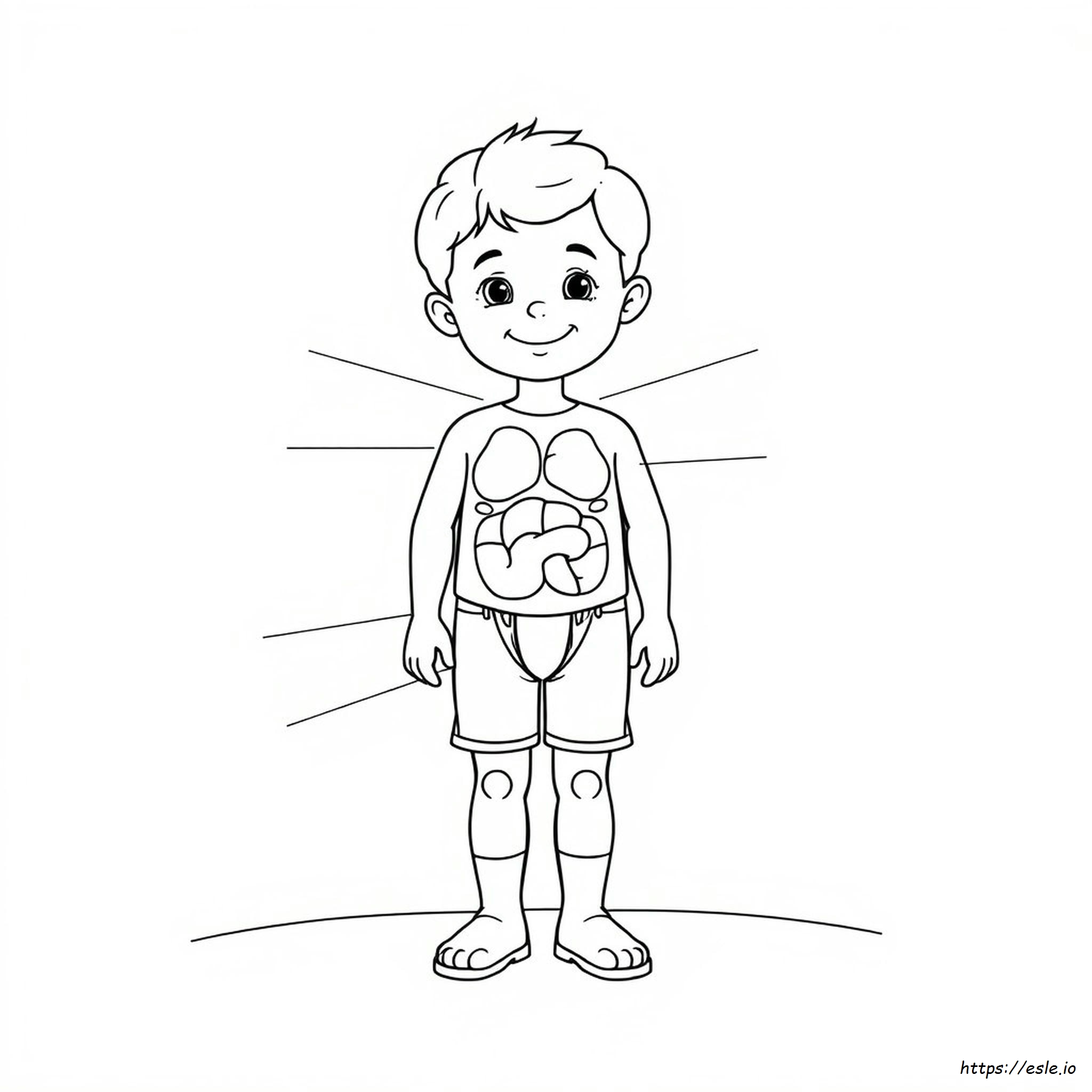 Dibujos Del Cuerpo Humano Para Colorear Para Preescolares
