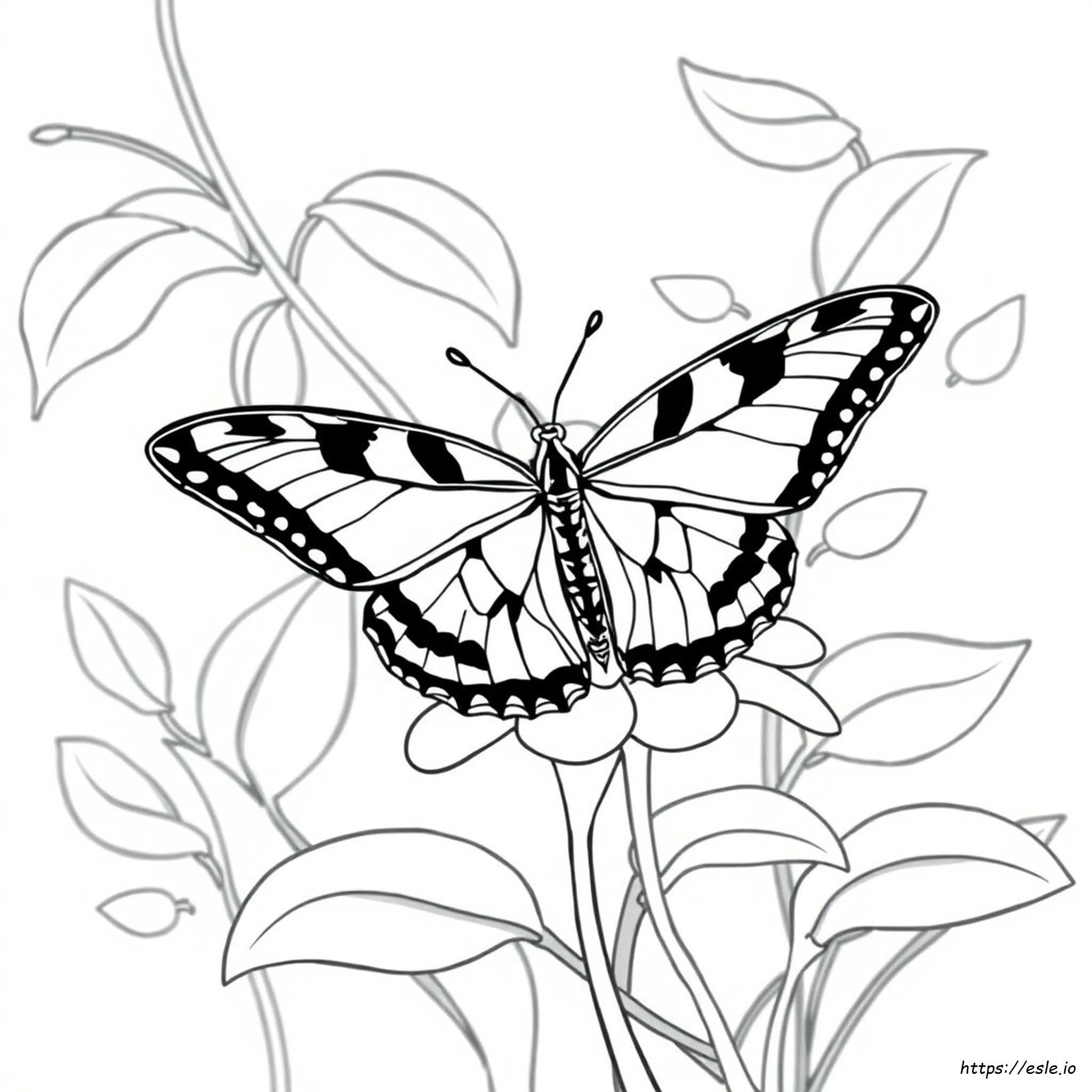 Farfalla Macaone Tigre Da Colorare