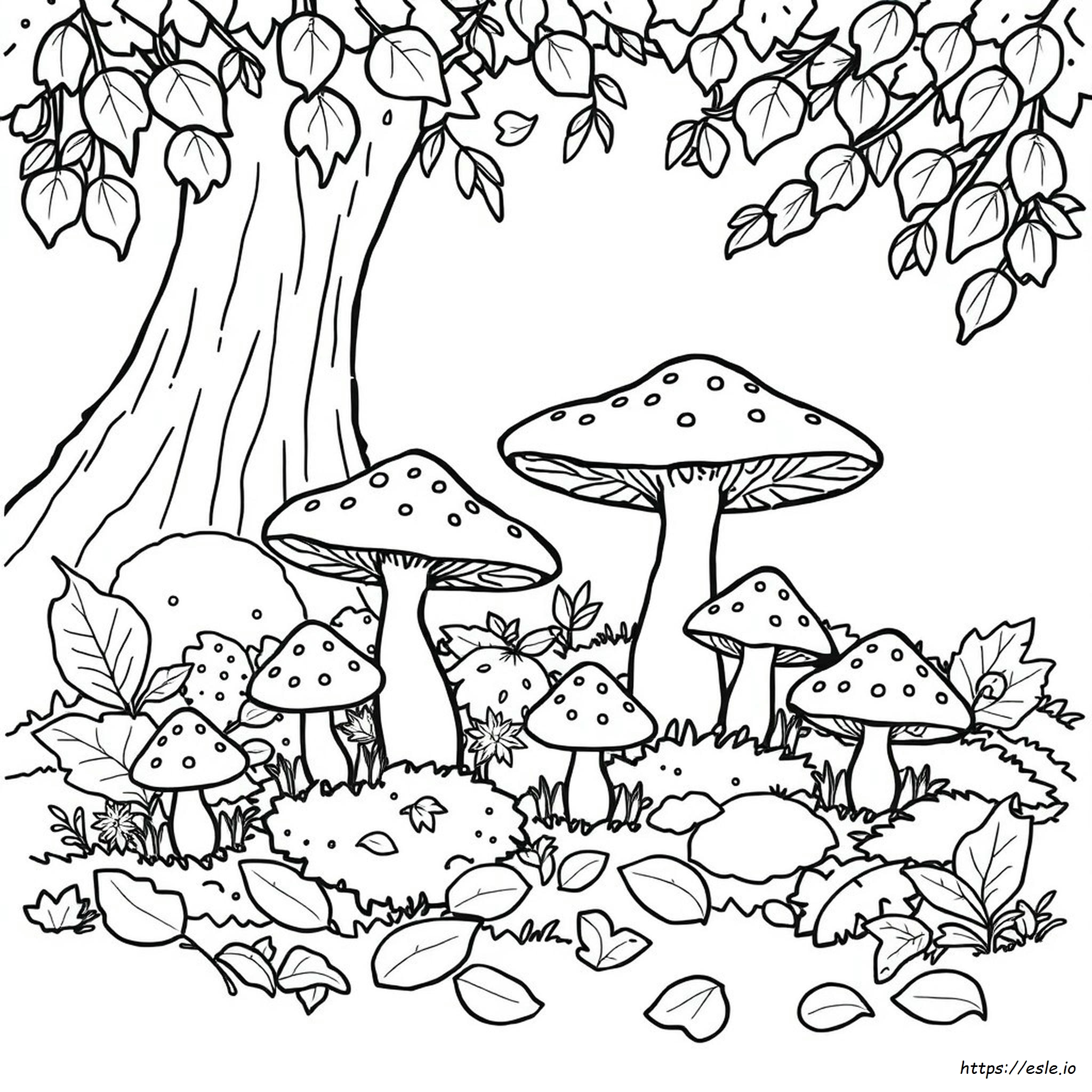 Scheda Da Colorare Sui Funghi
