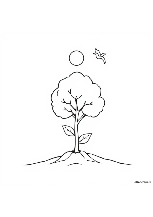 Printable Creation Story Coloring Pages