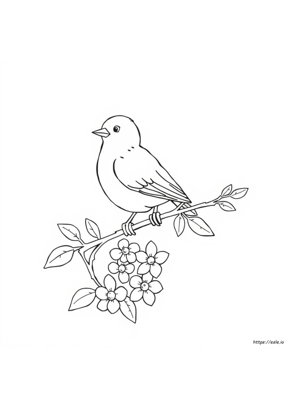Detailed Bird Coloring Pages