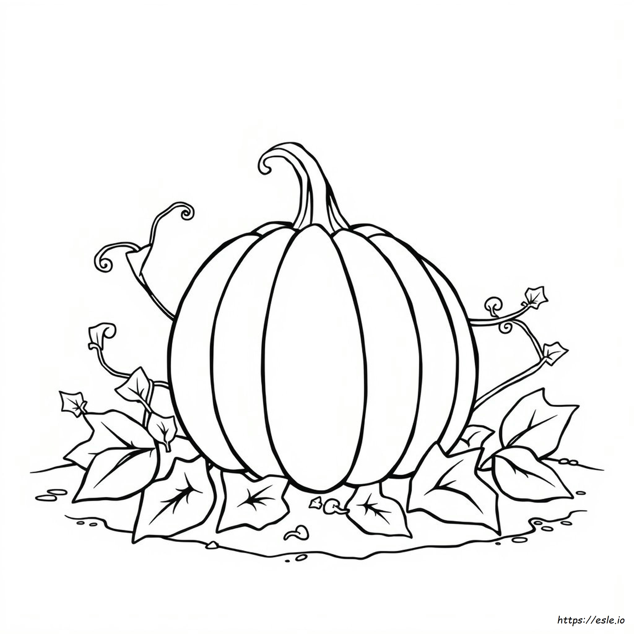 Pumpkin Clipart Coloring