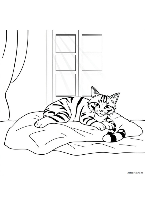 Tabby Coloring