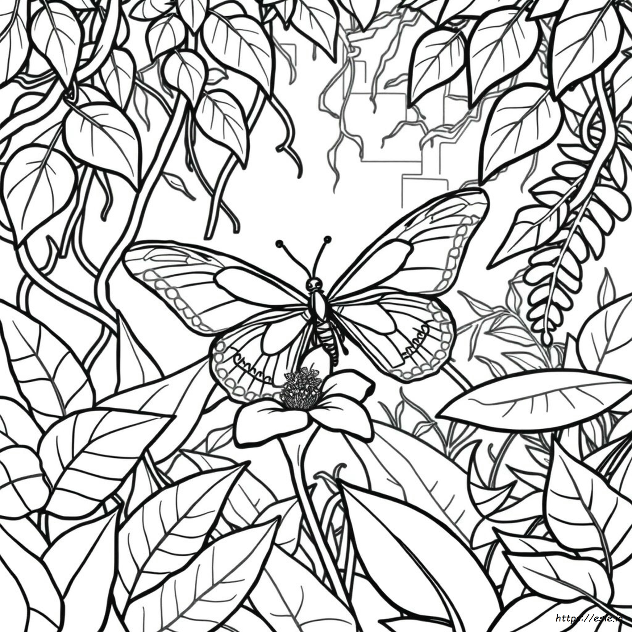 Rainforest Butterfly Coloring Pages