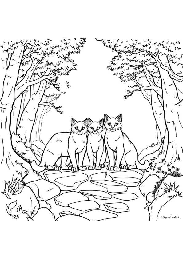 Erin Hunter Warrior Kissat Värityskuvat