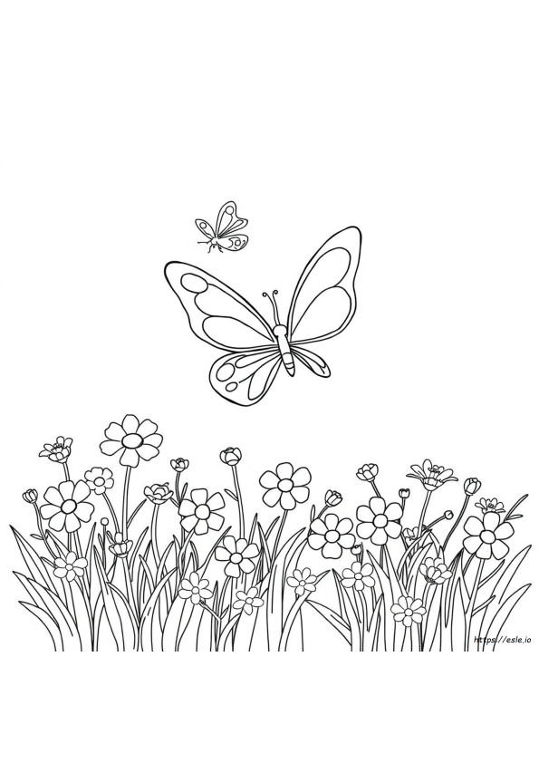 Valore Colore Flutter