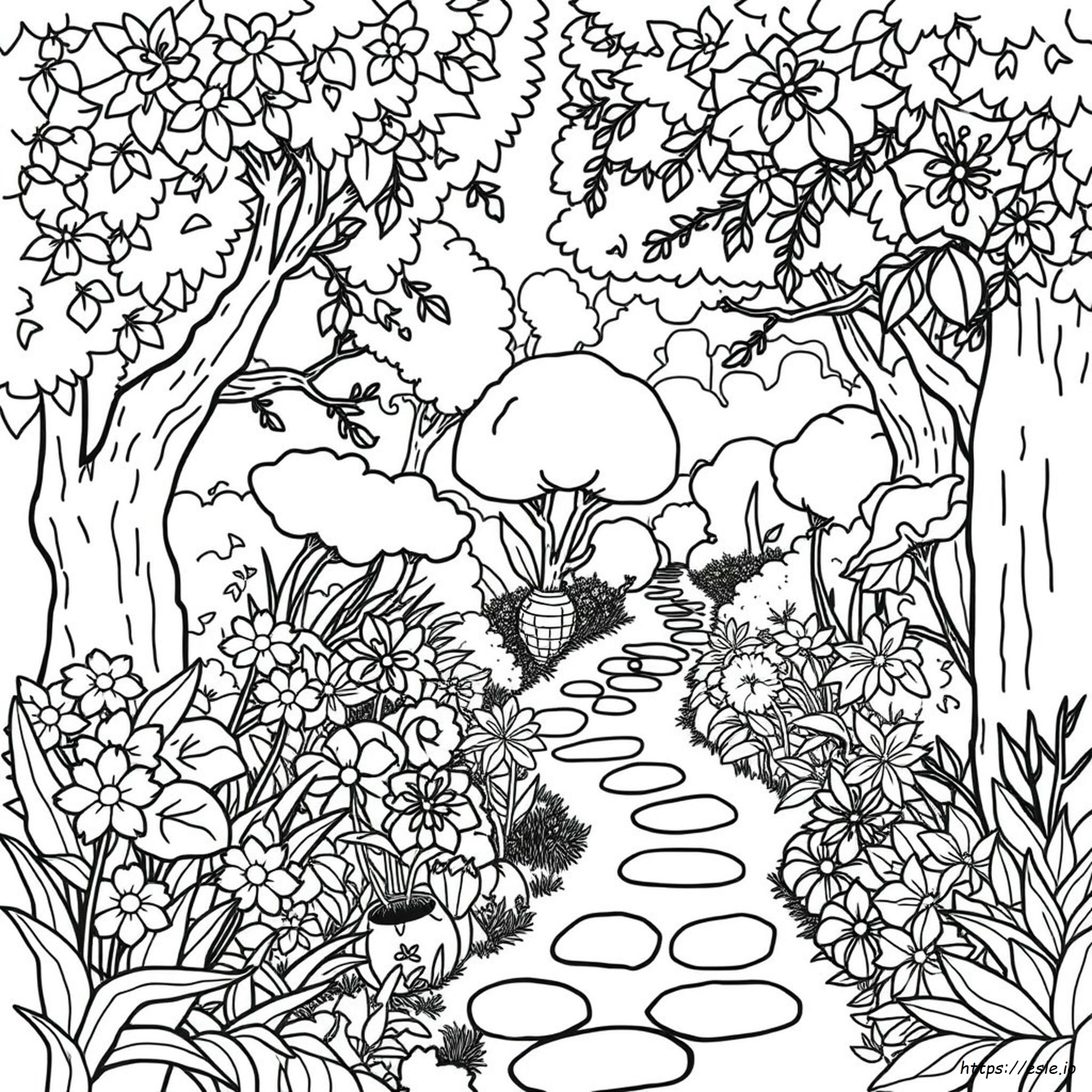 Giardino Segreto Da Colorare