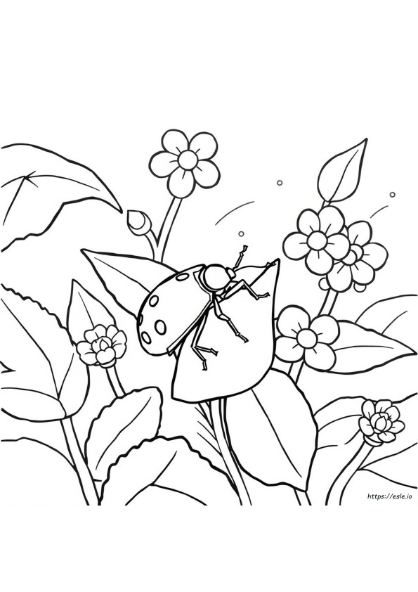 Stink Bug Coloring Page