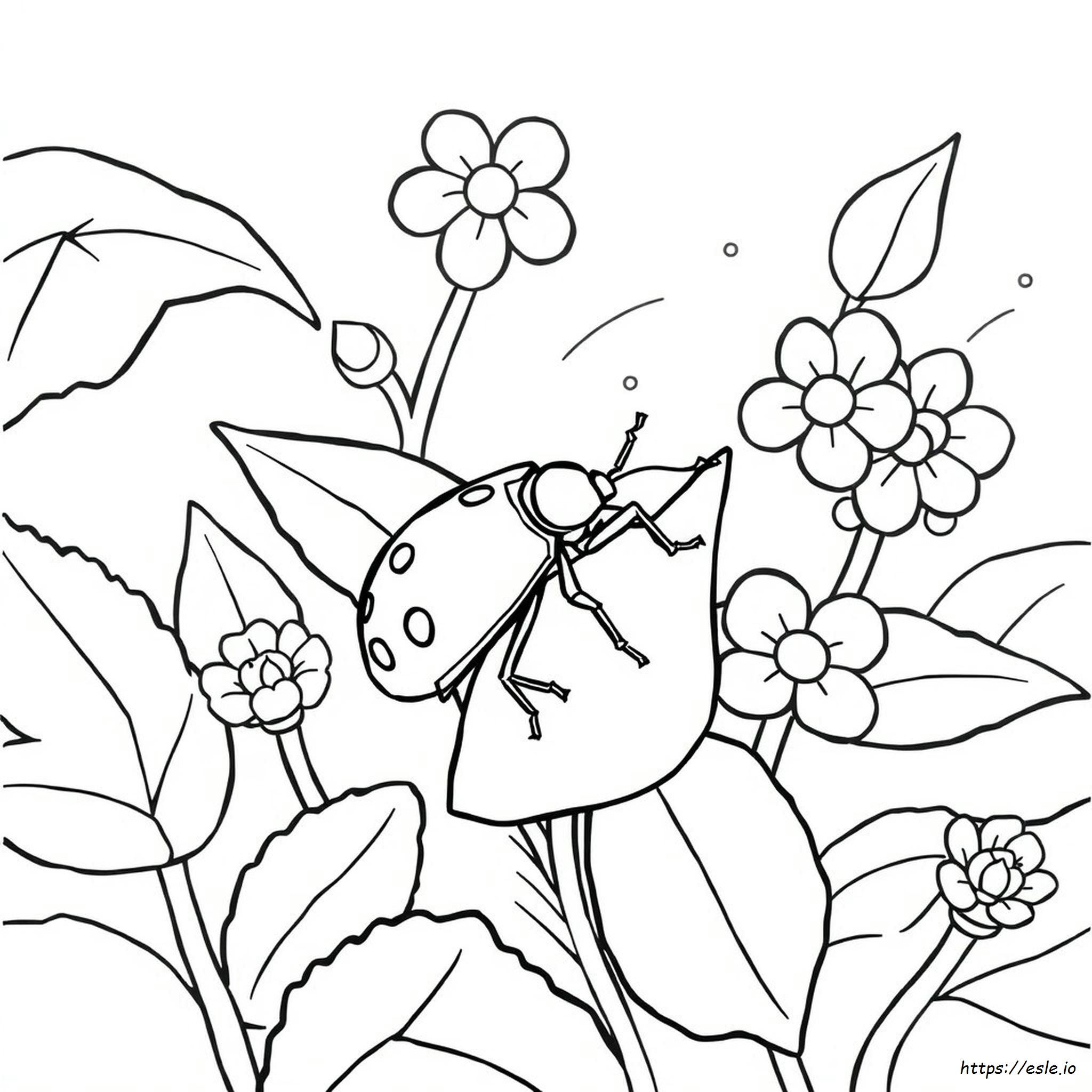 Dibujo De Chinche Apestosa Para Colorear