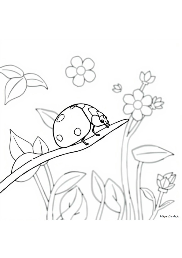 How To Color A Ladybug