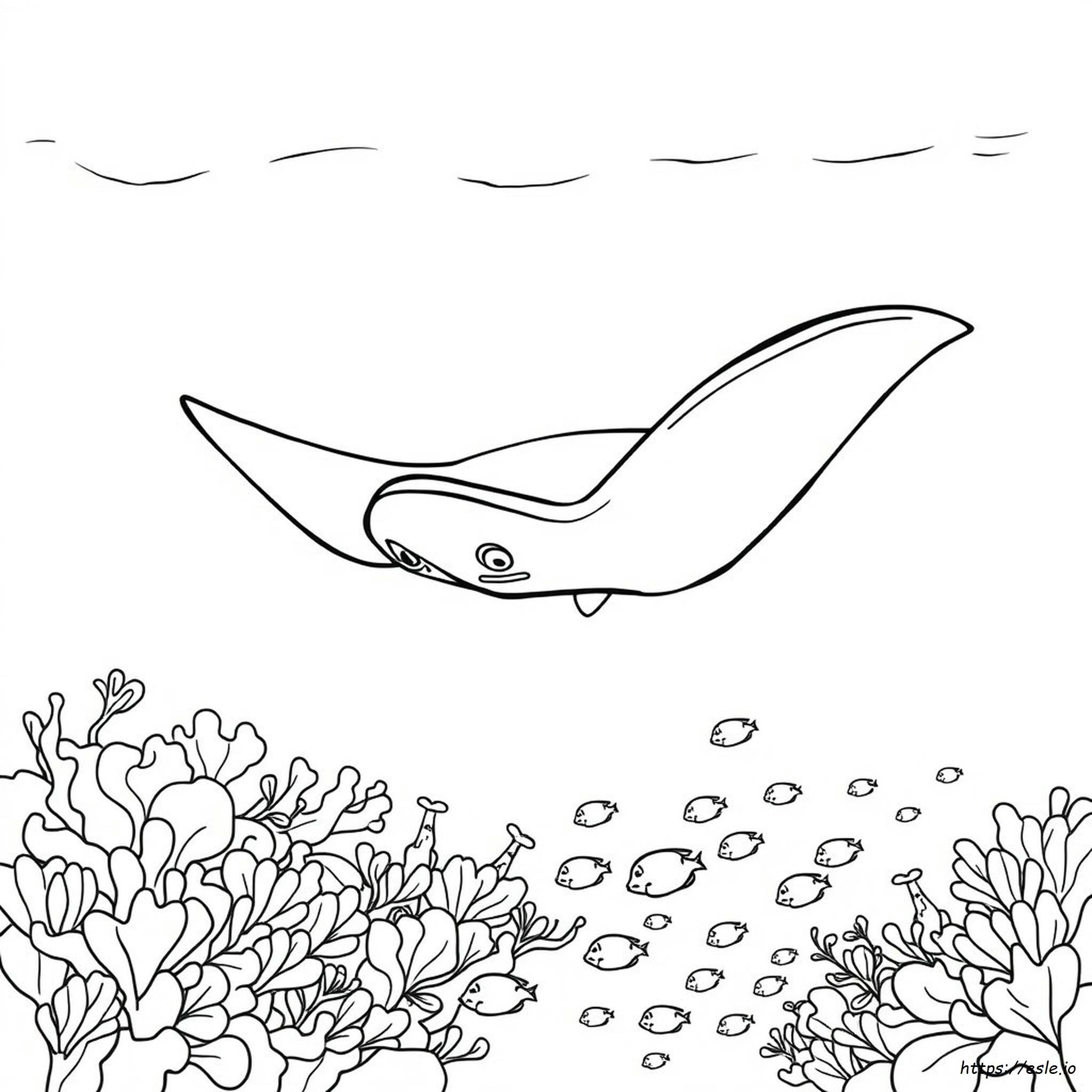 Coloring Pages Of Stingrays
