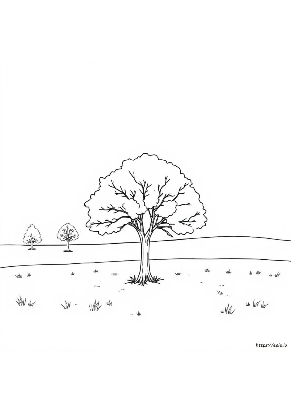 Árbol De Invierno Para Colorear
