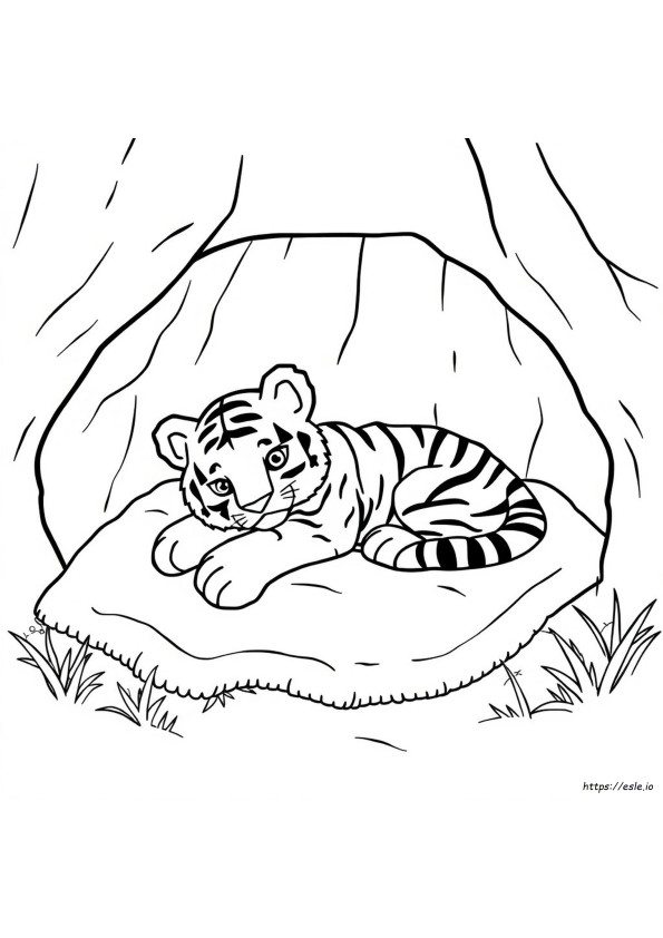 Coloriages Bébé Tigre