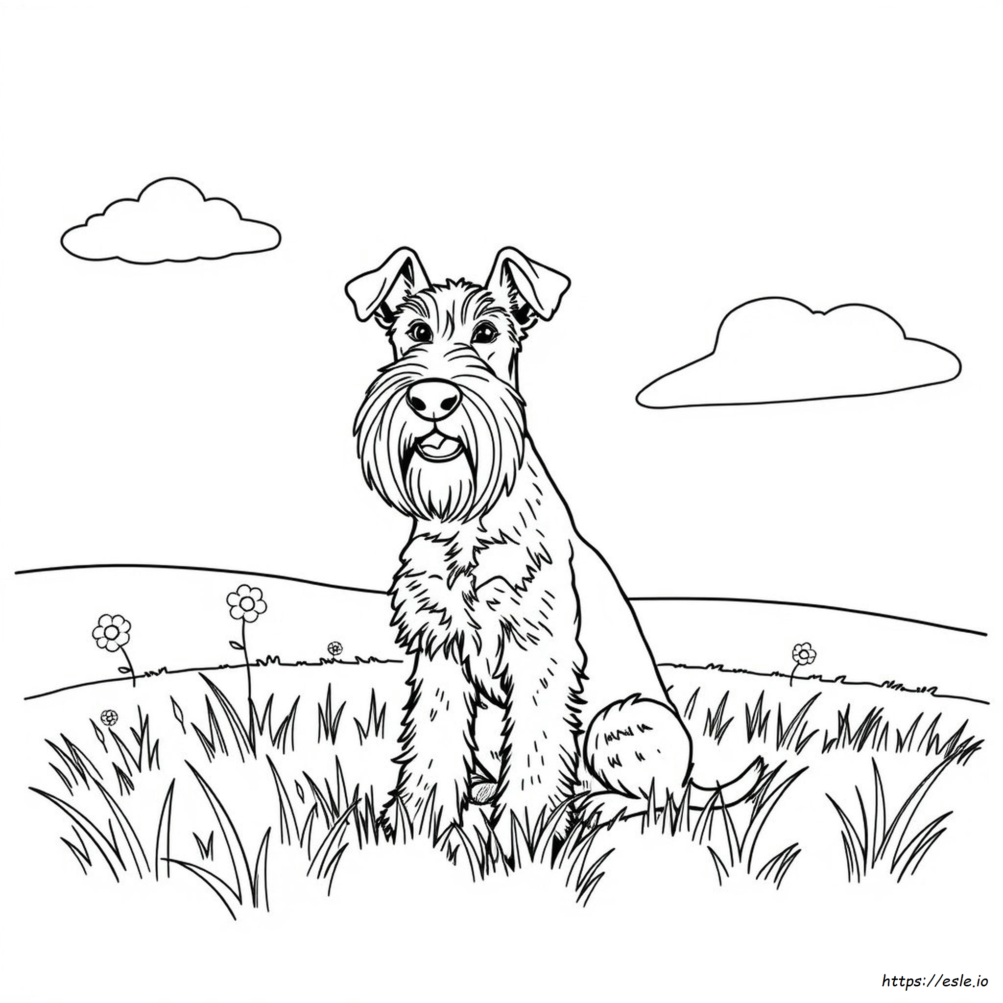 Airedale Terrier Coloring Page