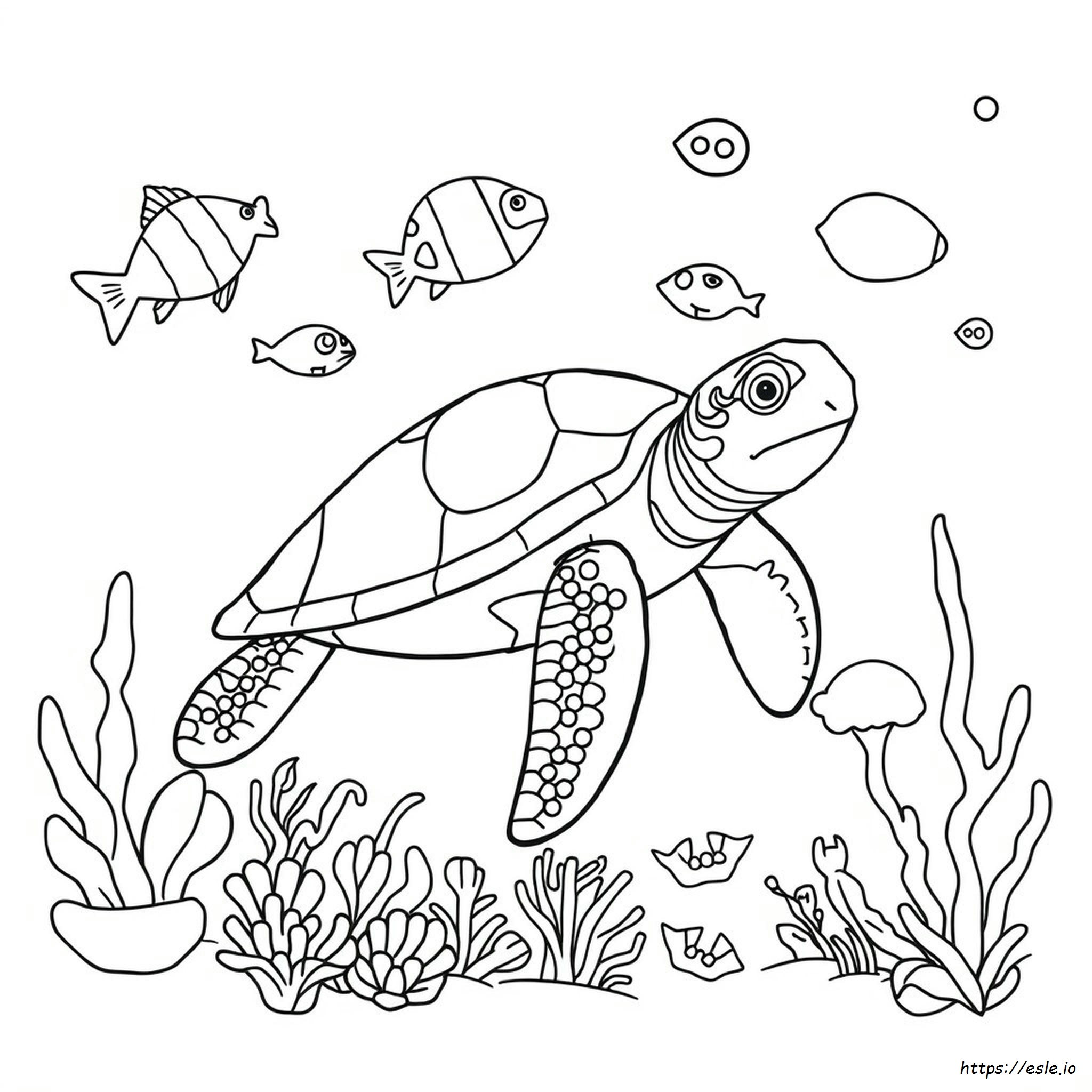Gambar-Gambar Mewarnai Hewan Laut