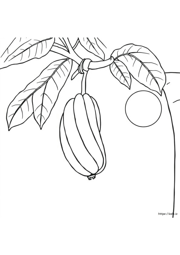 Drawing Banana Colouring