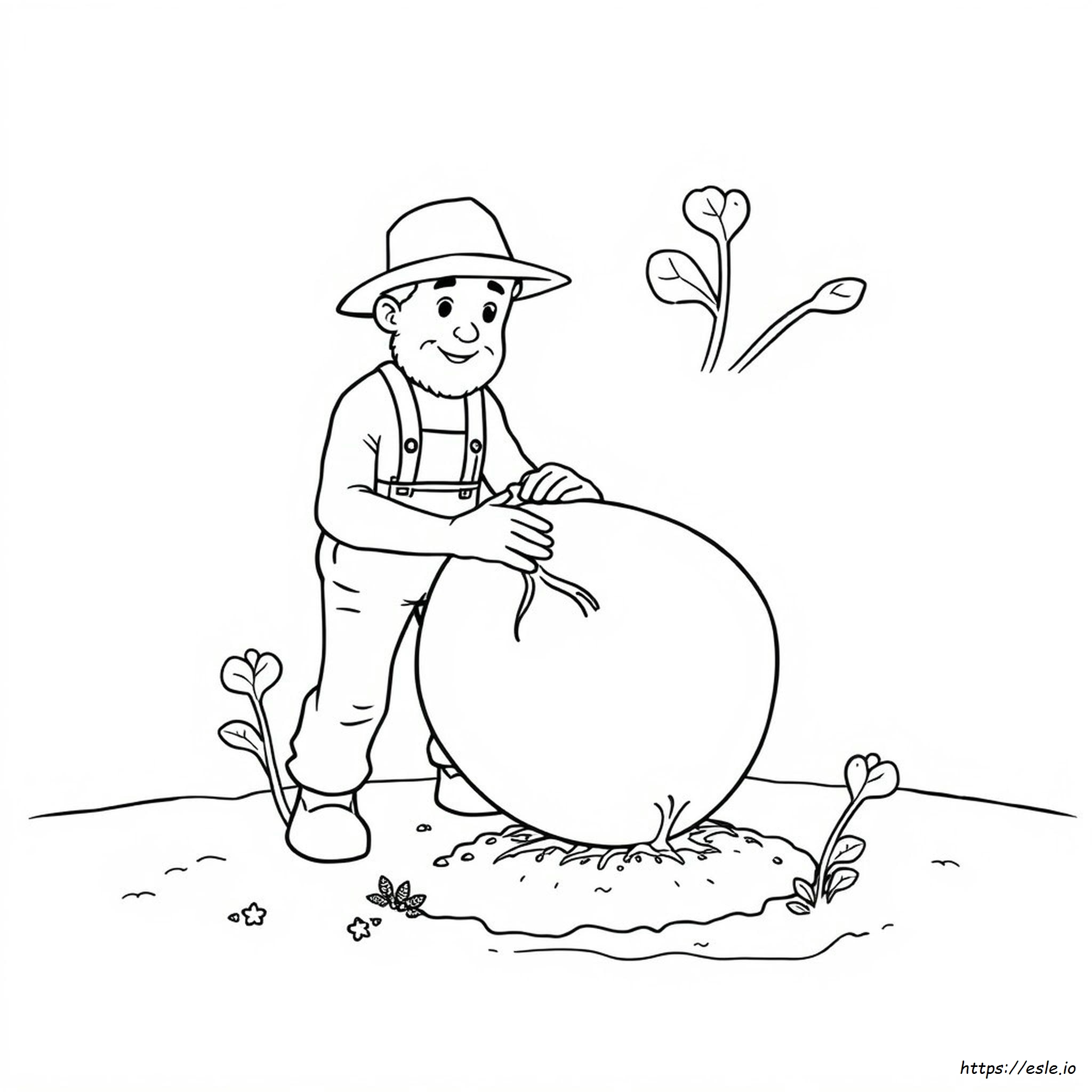 The Enormous Turnip Colouring Pages