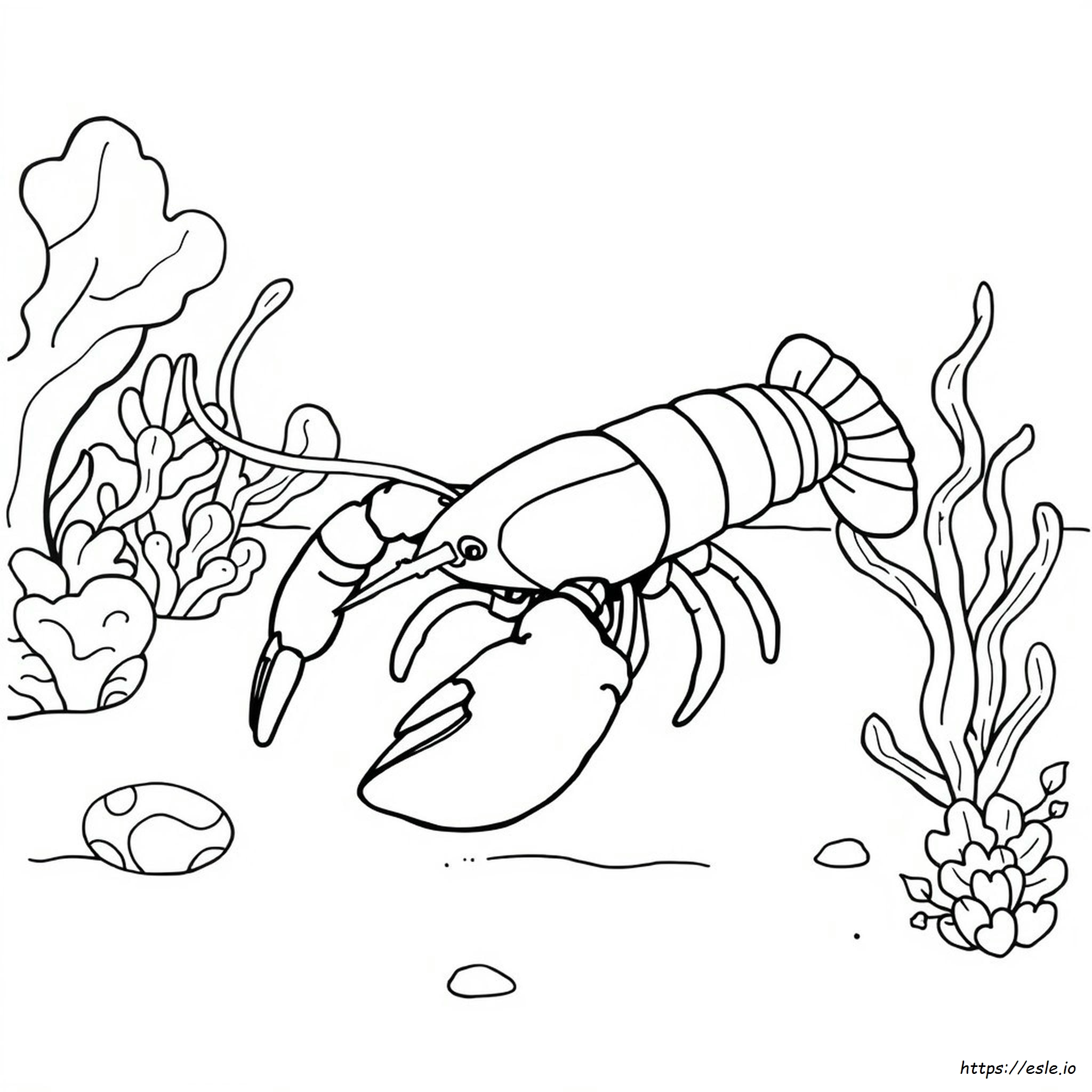 What Colors Do Lobsters Come In - Coloring Page