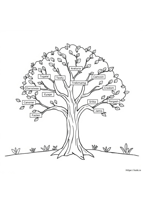 Árbol Genealógico Para Colorear