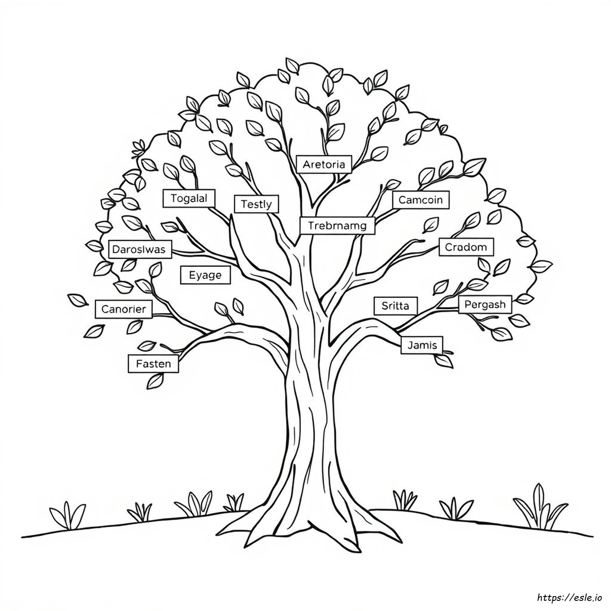 Kolorowanki Drzewo Genealogiczne