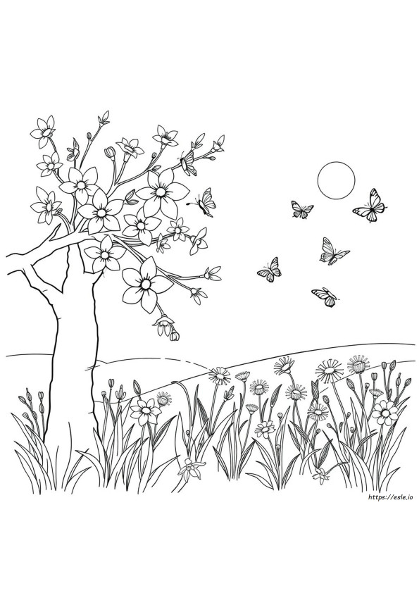 Ausmalbilder Zum Ausdrucken Für Den Frühling