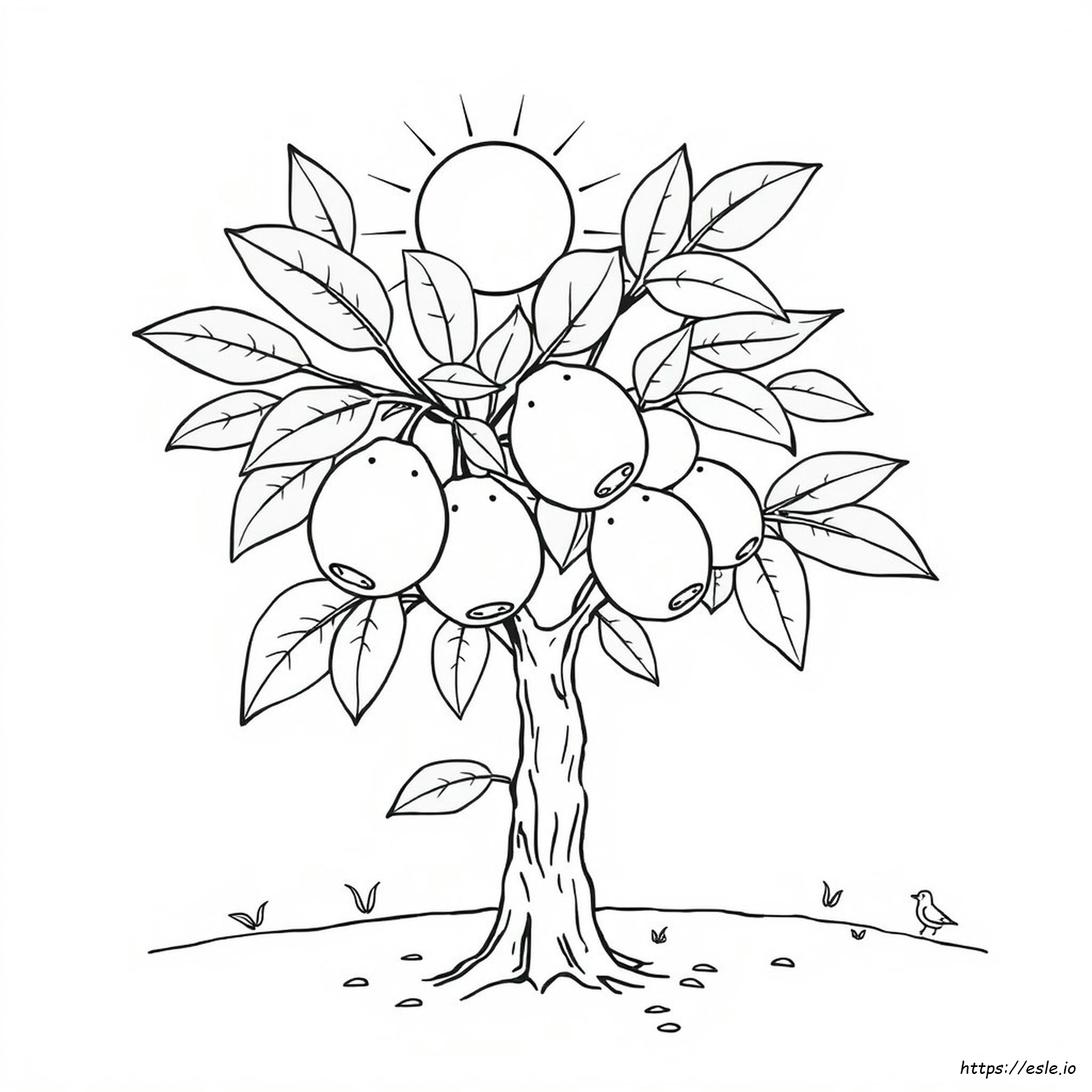 Drawing Guava Coloring Pages