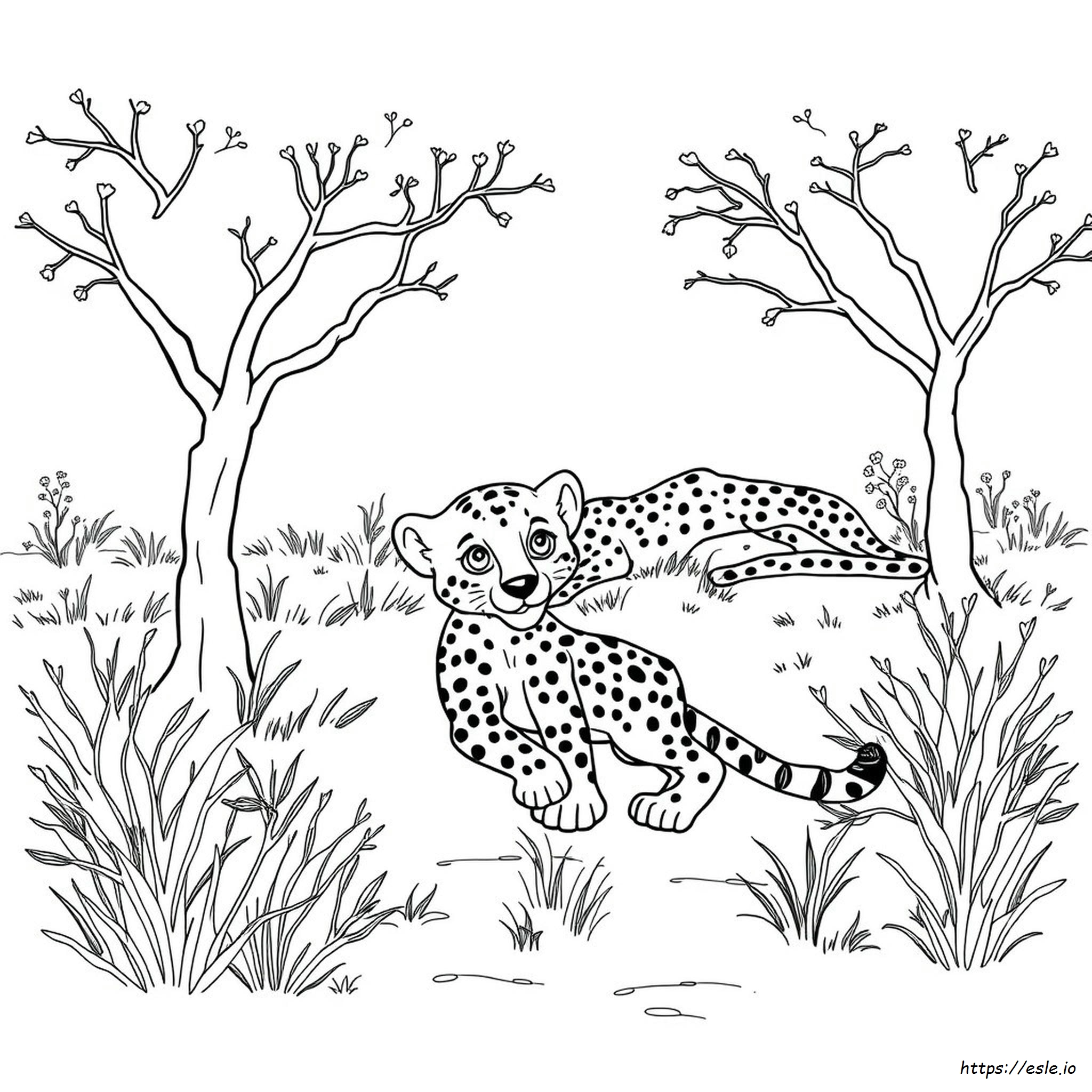 Cheetah Cub Coloring Pages