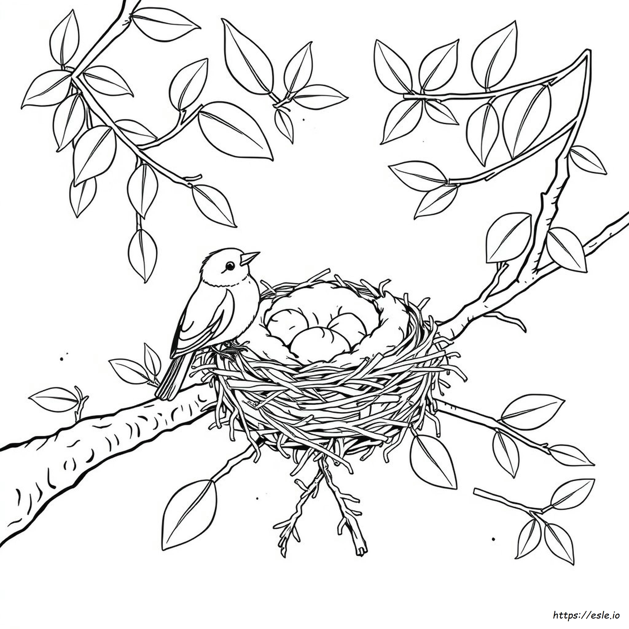 Printable Bird Nest Coloring Pages