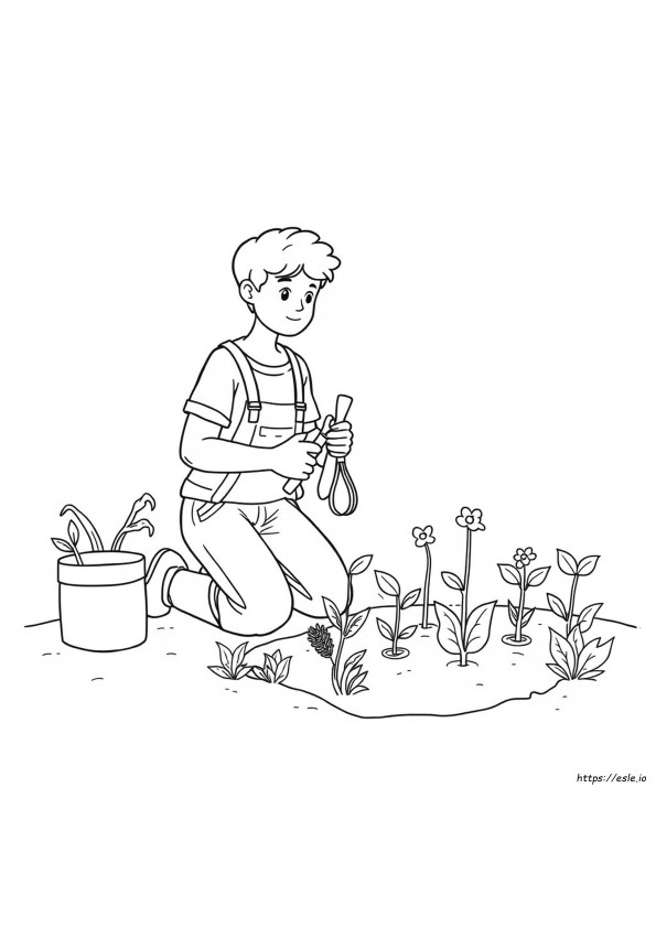 Coloriages De Plantations Au Jardin