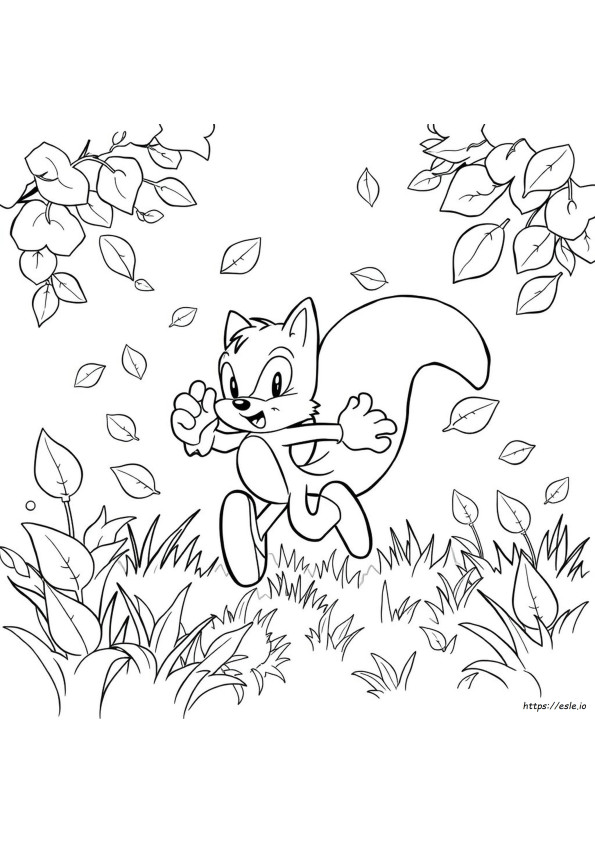 Disegni Da Colorare Sonic Speed Simulator