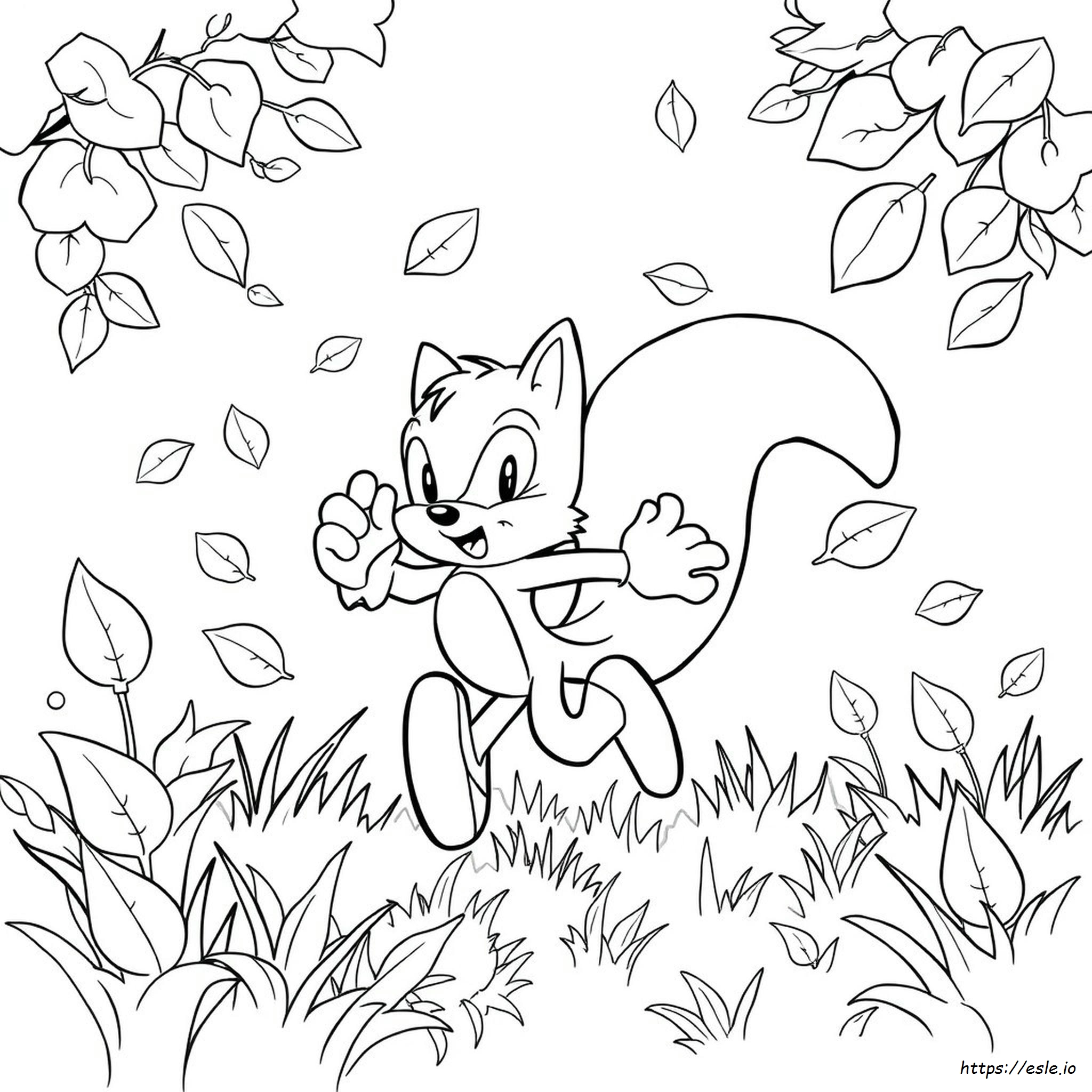 Disegni Da Colorare Sonic Speed Simulator