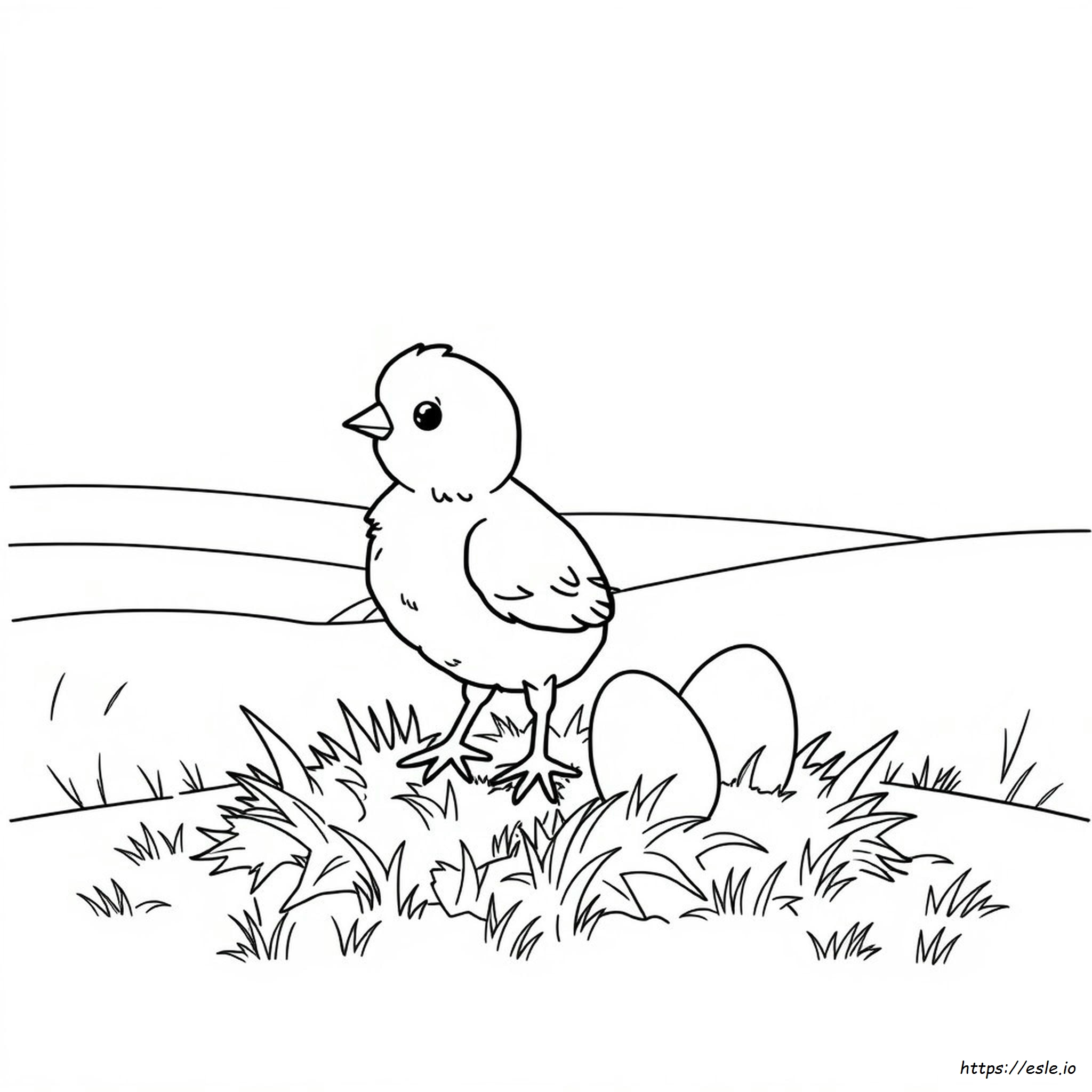 Free Chick Coloring Pages
