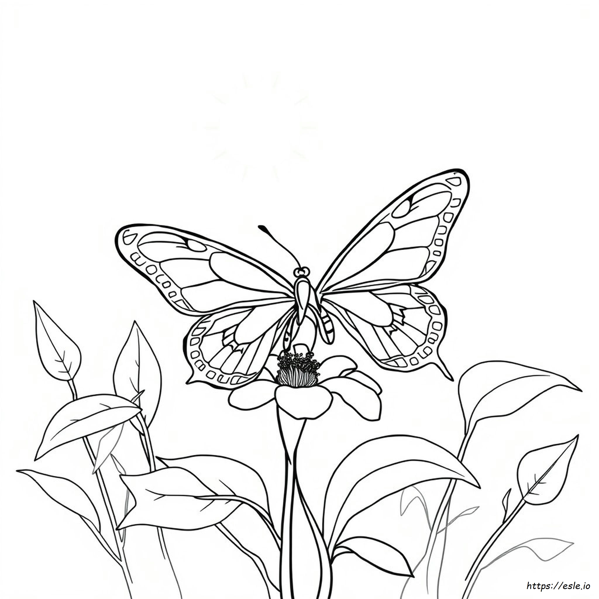 Butterfly Coloring Pages Online