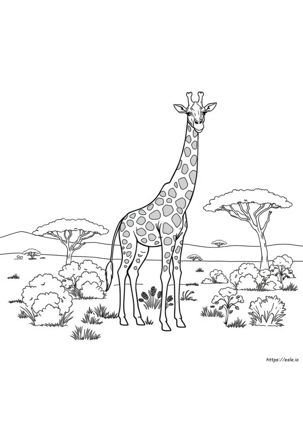 Detailed Giraffe Coloring Pages