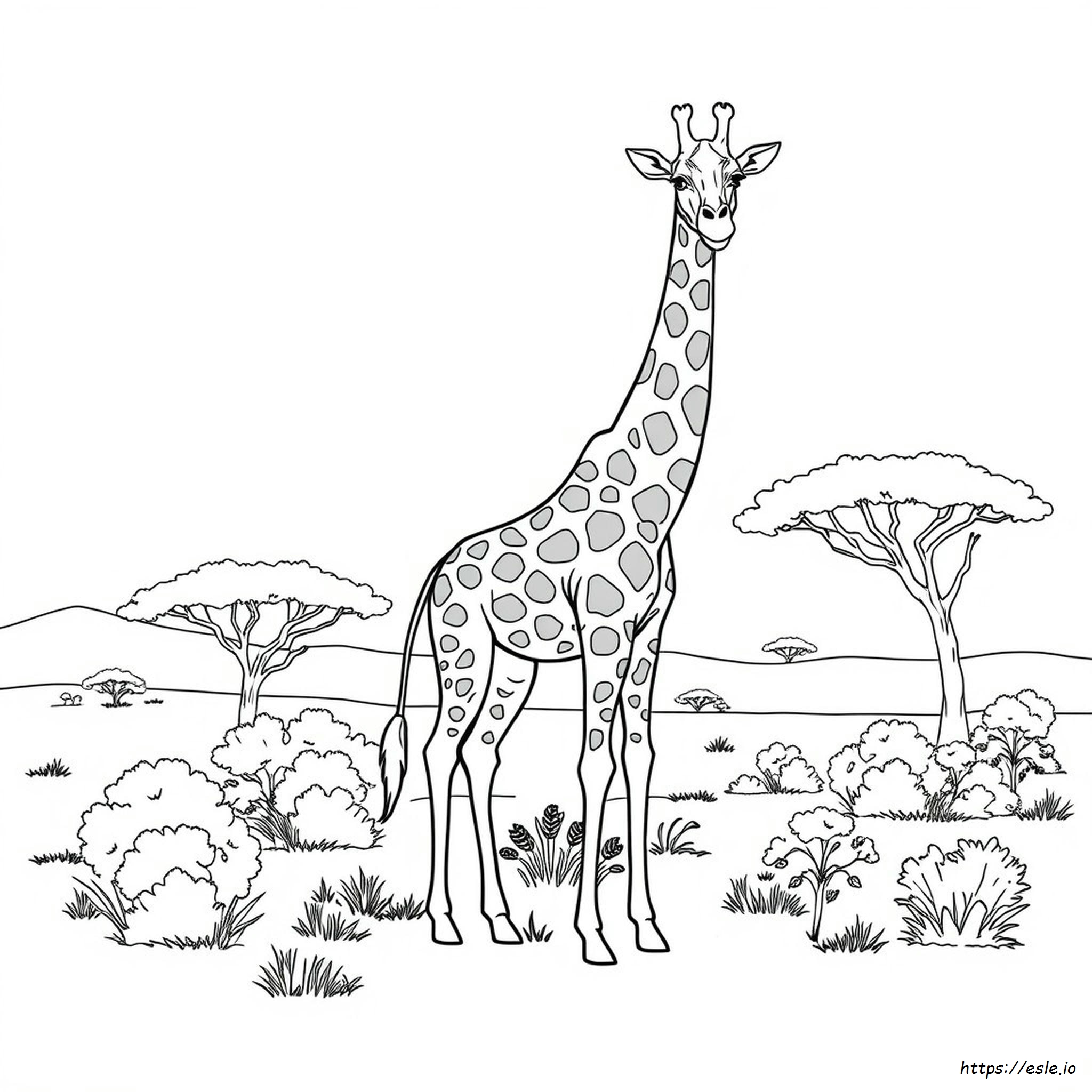 Detailed Giraffe Coloring Pages