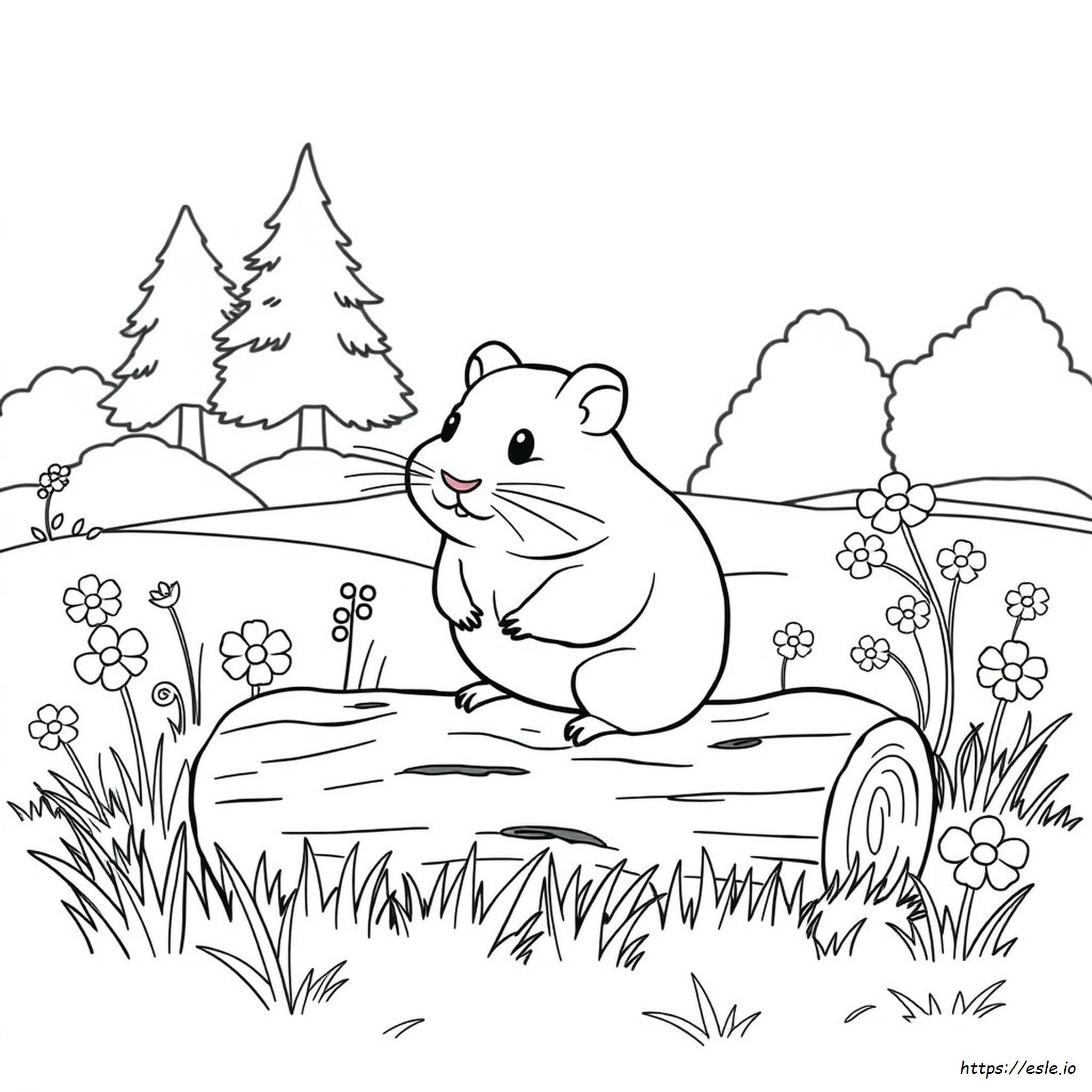 Hamster Coloring Pictures